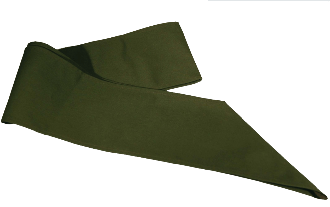 Merit Badge Sash